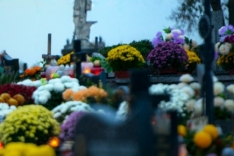 DSC_5600_+ (5)