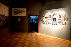 DSC_7007