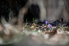 _DSC0748