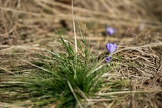 _DSC0754