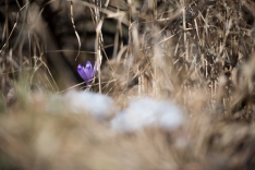 _DSC0758