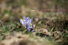 _DSC0786