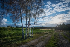 DSC48388