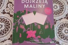 490982876_4127296537597045_2871806463472237699_n