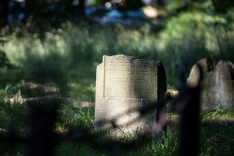 ZM_2822 (4)