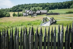 DSC_3221 (114)