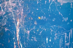 1 (5)