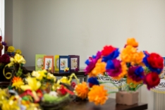 DSC_0973_+ (19)